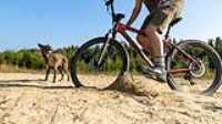 beryl_mountain_bike_drift_06