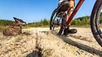beryl_mountain_bike_drift_08