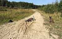 beryl_mountain_bike_drift_making_of_01