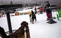 stoneham_snowboard_empire_game_03