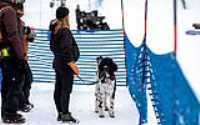 stoneham_snowboard_empire_game_49