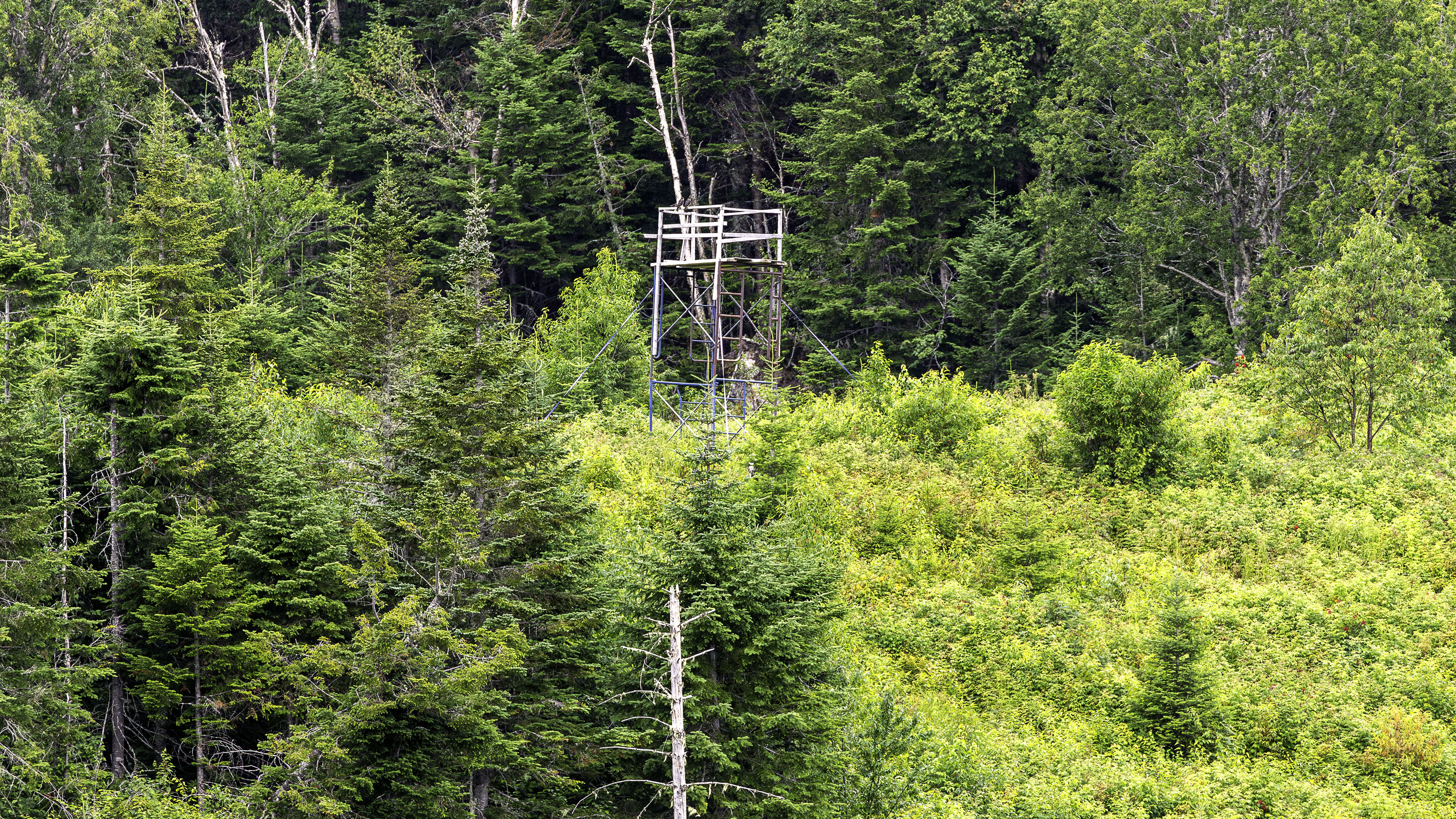 st-raymond_10