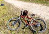 05_rf433_control_camera_taiga_run_bike