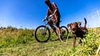 16_rf433_control_camera_taiga_run_bike