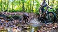 27_rf433_control_camera_taiga_run_bike