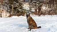 16_beryl_last_walk