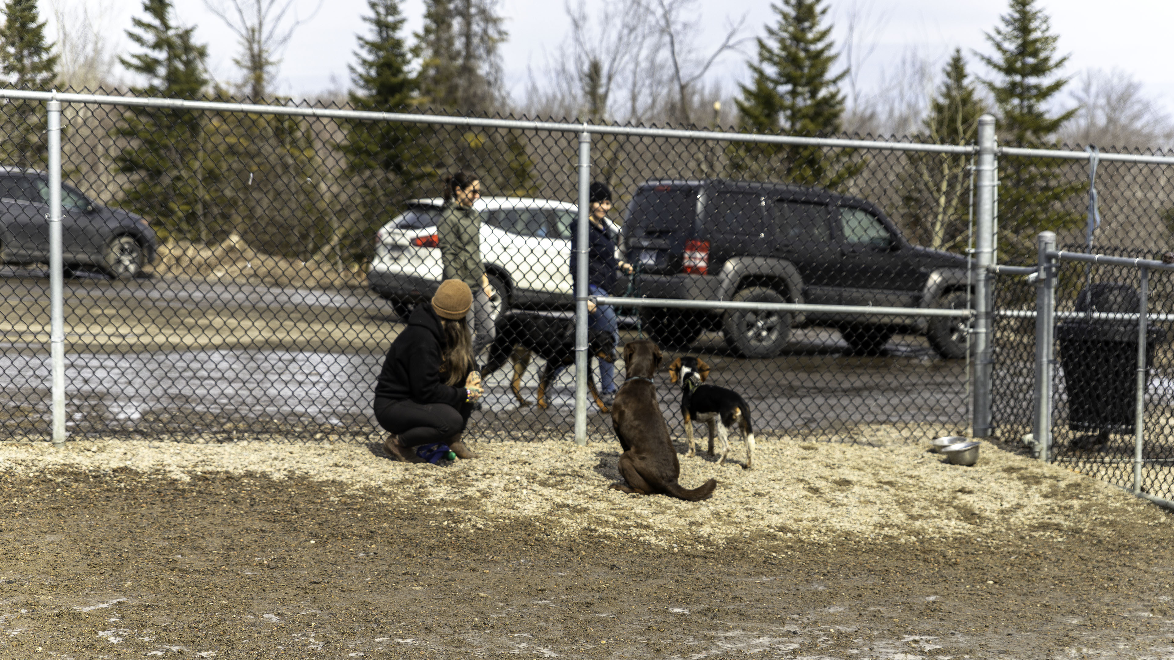 25_doggo_park
