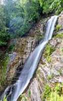 15_fall_jean-larose