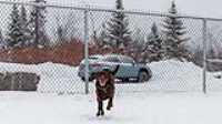 11_doggo_park_snow_24-70