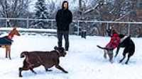 26_doggo_park_snow_24-70