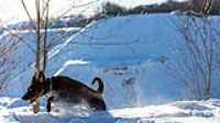 16_r6mk3_70-200-taiga_snow