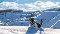 21_r6mk3_70-200-taiga_snow