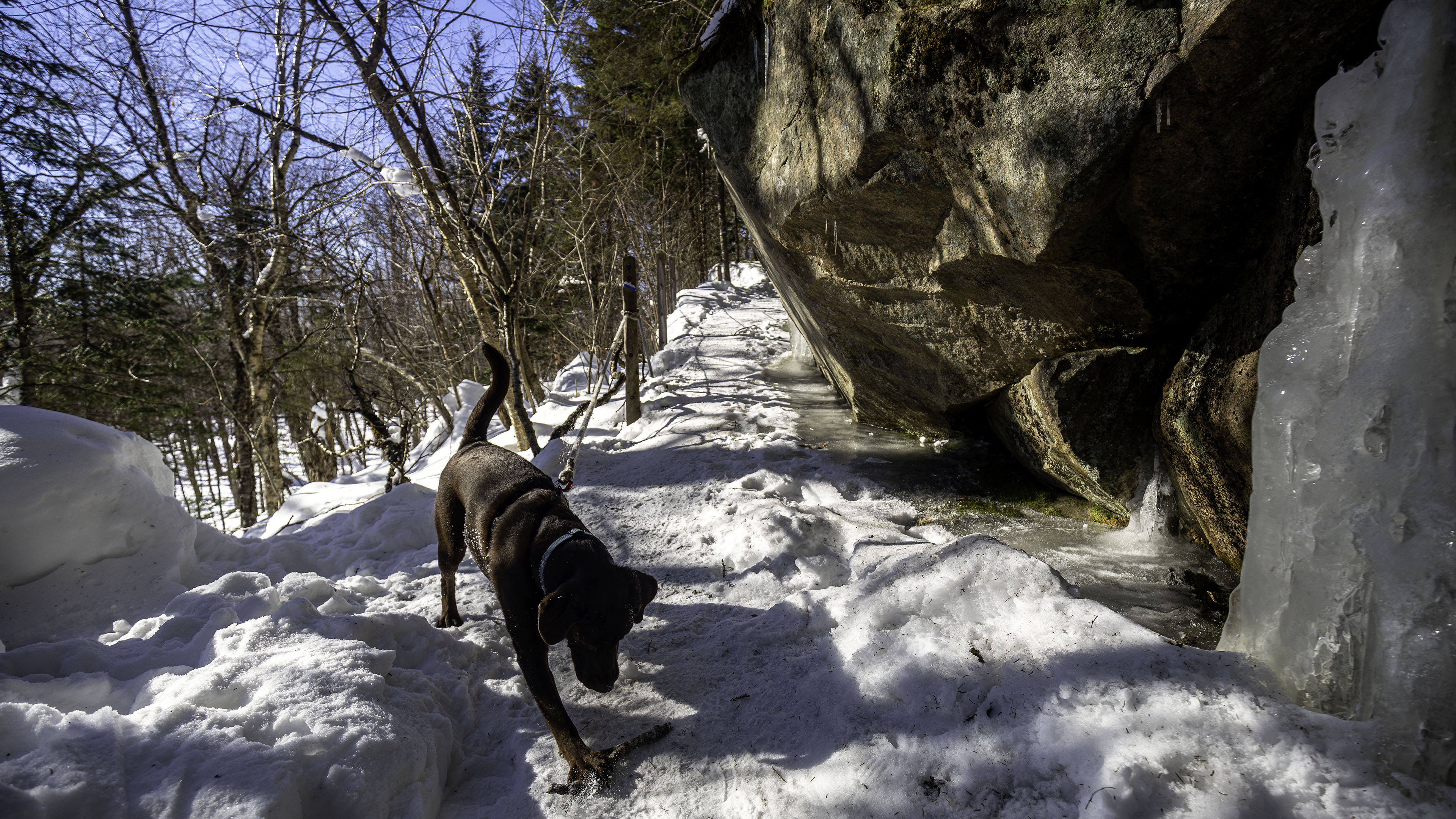 01_boucle_stoneham