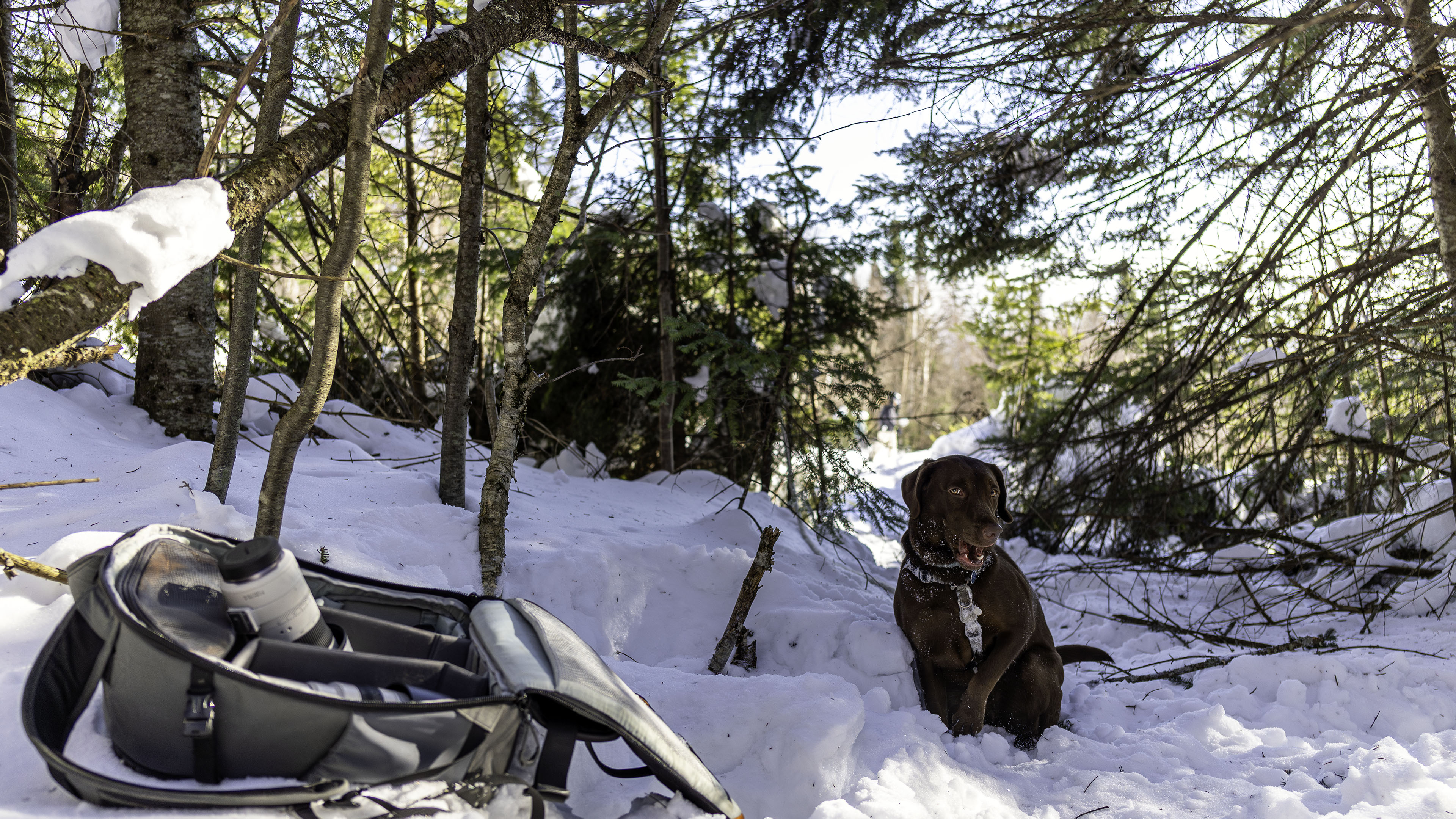 02_boucle_stoneham