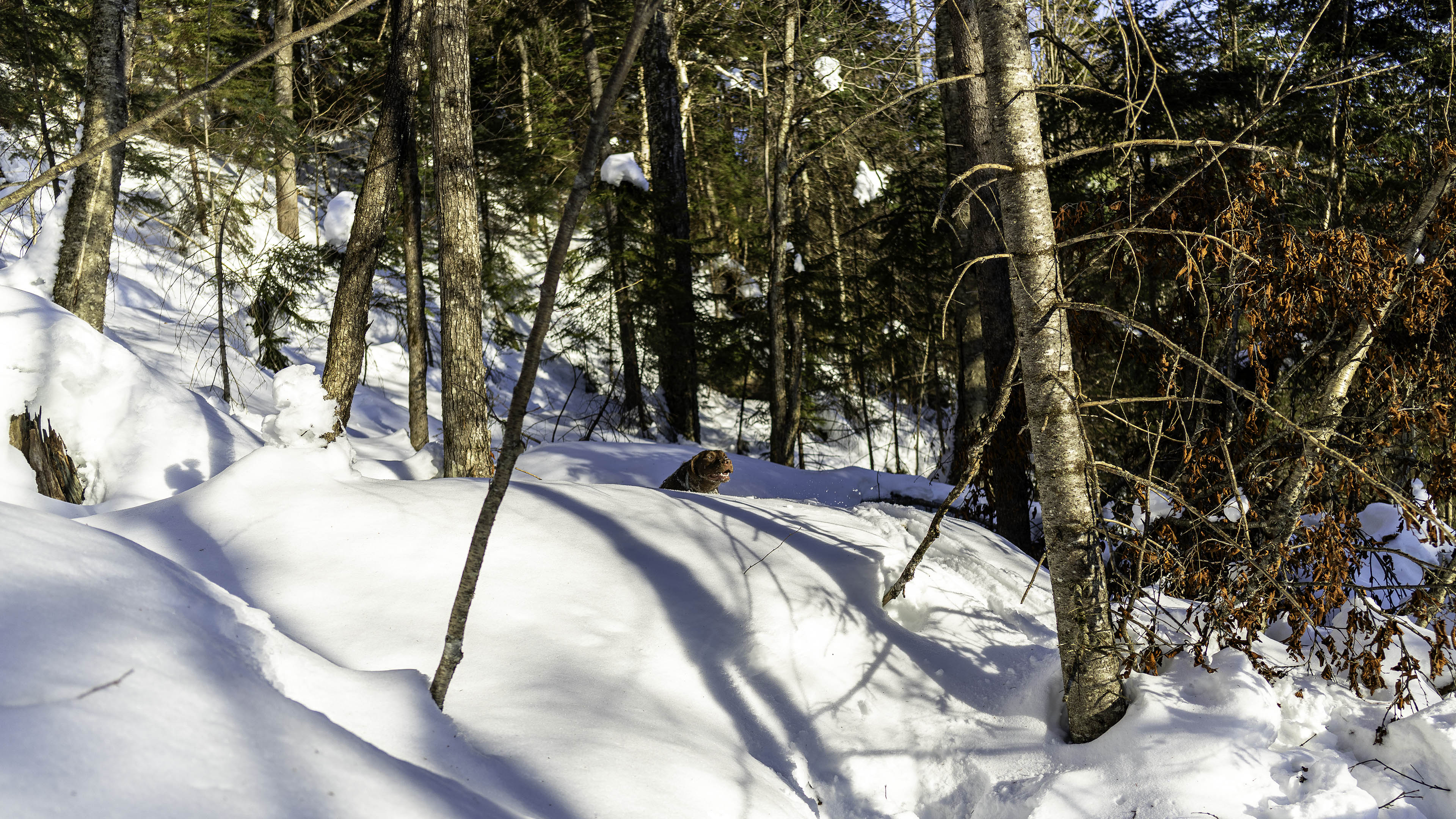 18_boucle_stoneham