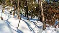 18_boucle_stoneham