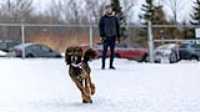 18_doggo_park_70-200