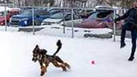 23_doggo_park_70-200
