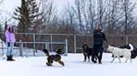 29_doggo_park_70-200