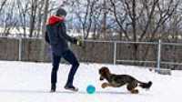 34_doggo_park_70-200