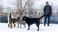 54_doggo_park_70-200