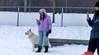 58_doggo_park_70-200