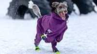 81_doggo_park_70-200