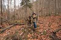 dan_beryl_old_forest