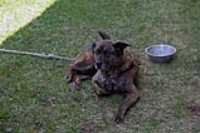toit_cabanon_20210502_003a
