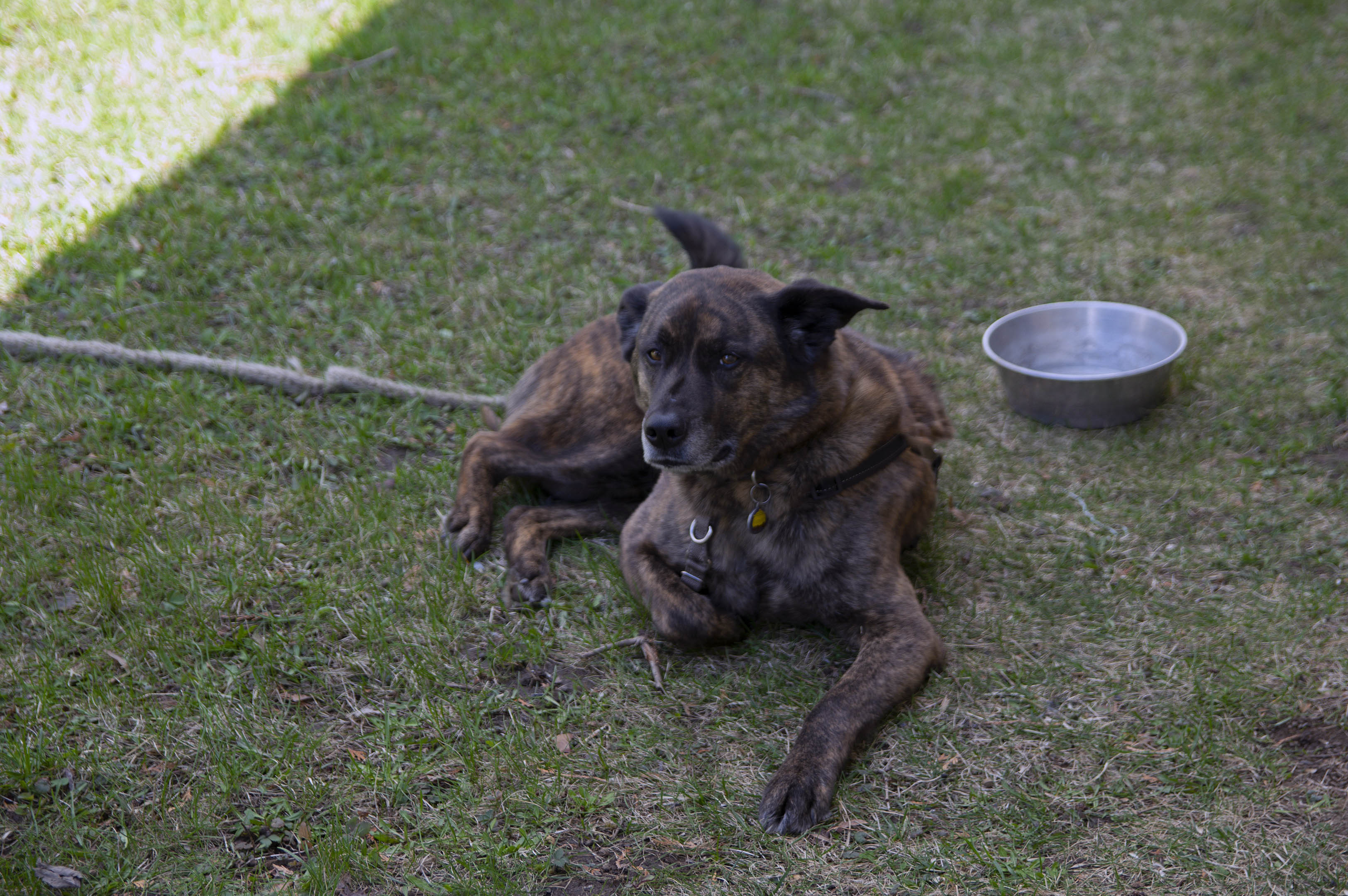 toit_cabanon_20210502_003a