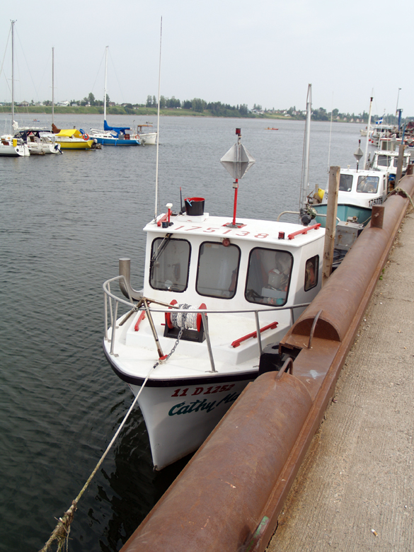 114-marina_bonaventure