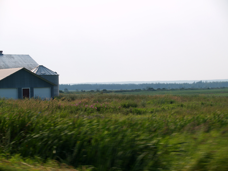 216-farm