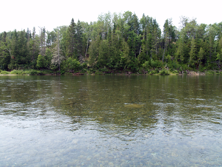 60-bonaventure