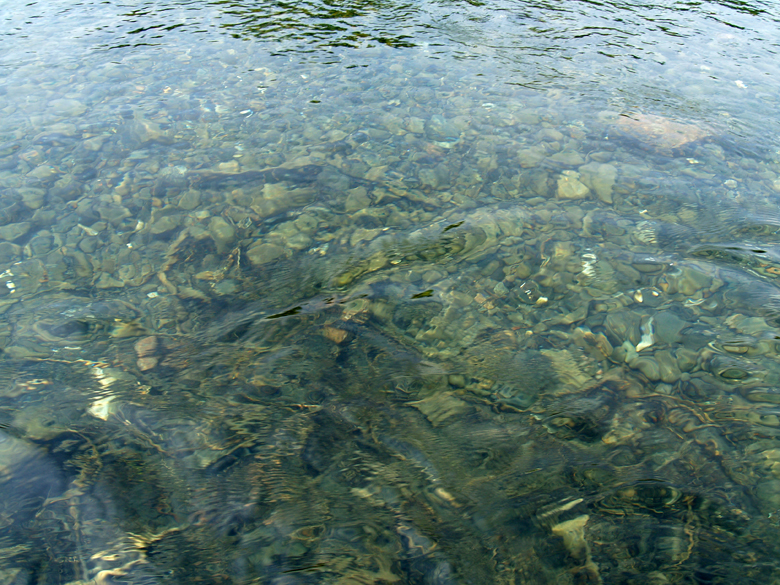61-eau_de_roches