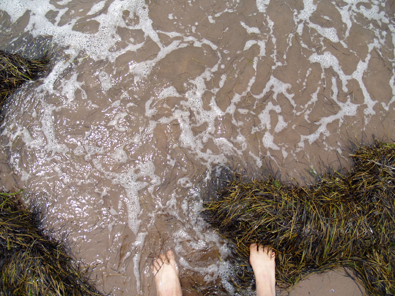 73-pieds_embruns