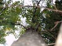 169-paysage_interne