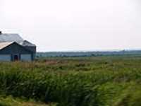 216-farm