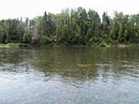 60-bonaventure