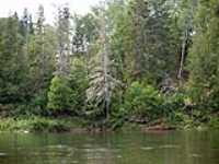 64-berge_boisee