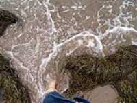 71-pied_de_la_vague