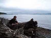 Adeline_bunch_of_trees