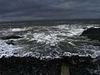 shore