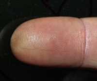 fingerprint