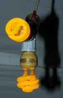 lightbulb