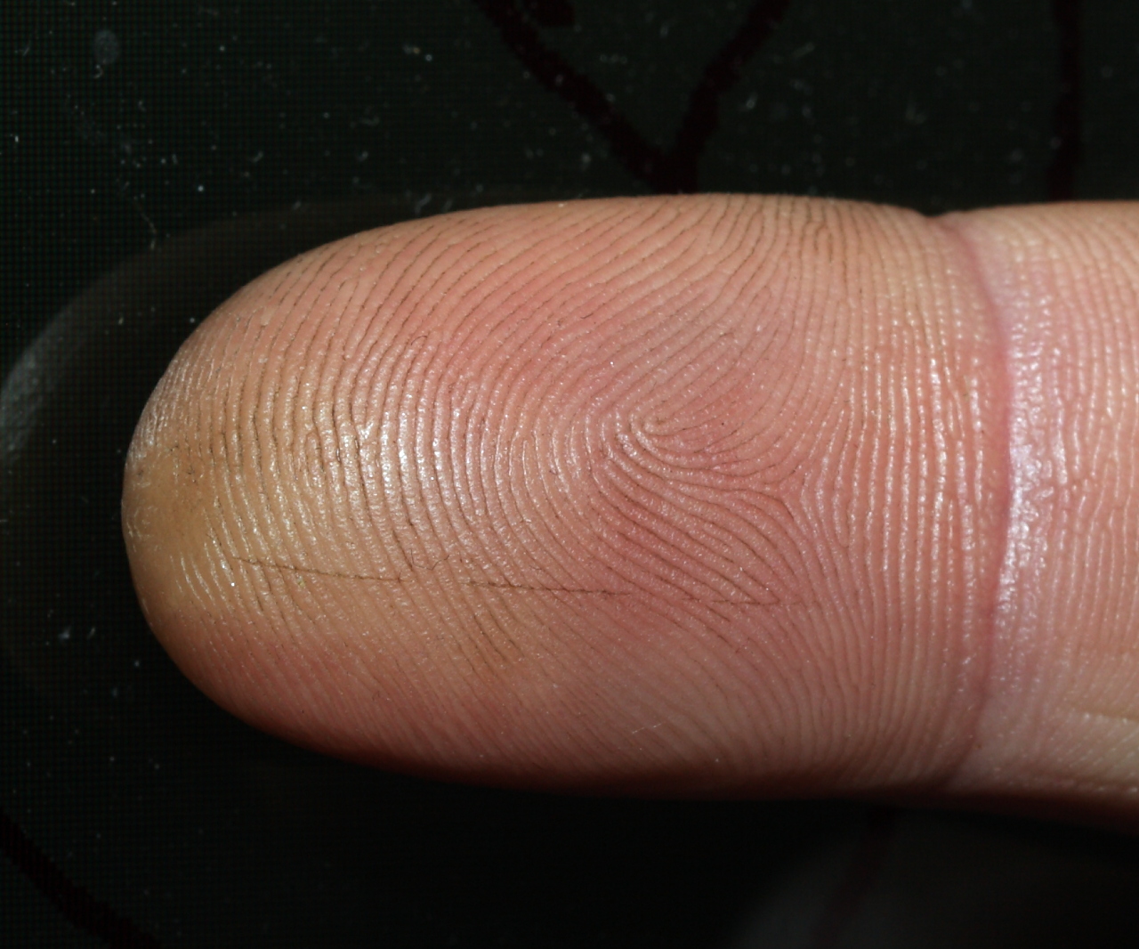 fingerprint