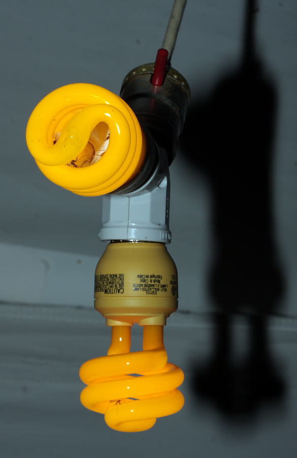 lightbulb