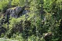 falaise_foret