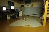 painting_basement_floor