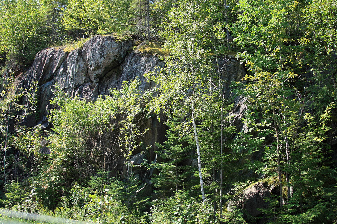 falaise_foret