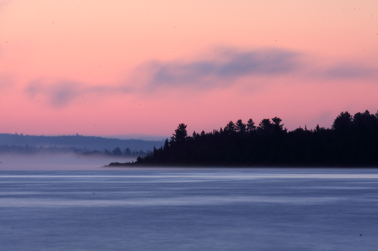 paysage_fog